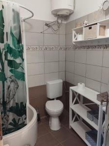 uma pequena casa de banho com WC e chuveiro em Apartments Blanca em Vodice