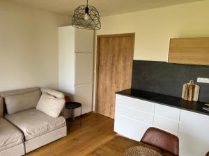 Kuchyň nebo kuchyňský kout v ubytování Apartmán Borůvka