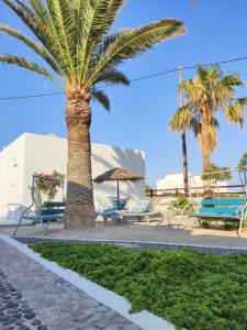 a palm tree in a park with benches and tables at Palm Studios in Perissa