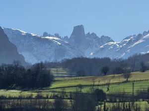 una cordillera con montañas cubiertas de nieve en un campo en Ribeles Luxury Flat, en Arenas de Cabrales