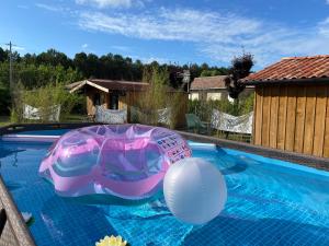 een zwembad met een opblaasbare bal en een paraplu bij « Aux bonheurs Landais » in Linxe
