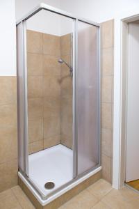 a shower with a glass door in a bathroom at Cozy City Apartment in Graz