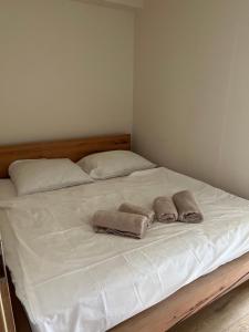 Postel nebo postele na pokoji v ubytování Apartmán Borůvka