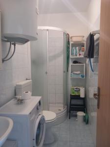 bagno con servizi igienici, doccia e lavatrice di Apartment Red wine a Ližnjan (Lisignano)