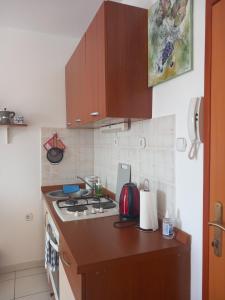 Kuchyň nebo kuchyňský kout v ubytování Apartment Red wine