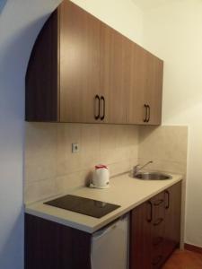 Apartments Kepi Gjerana的厨房或小厨房