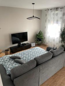 Televízia a/alebo spoločenská miestnosť v ubytovaní appartement vacances en copropriété avec parking