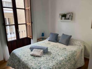 een slaapkamer met een bed met 2 kussens erop bij Apartamento muy céntrico en Granada in Granada