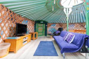 a living room with a blue couch and a tv at Colourful Mongolian Yurt enjoy a new experience in Turriff