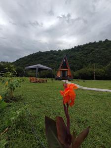 Giardino di Canyon garden martvili