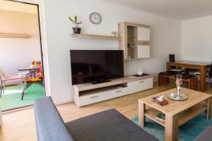 a living room with a television and a table at Ferienwohnung Dreiländereck in Rheinfelden