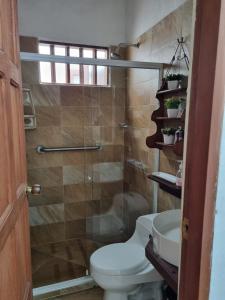 a bathroom with a toilet and a shower at El Retiro 104 in Barichara