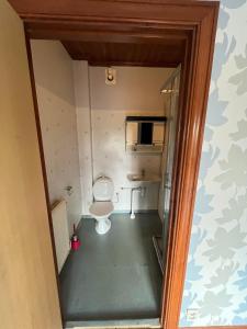 a small bathroom with a toilet in a room at Vetlandavägen 37 C in Målilla
