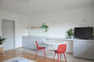 een keuken met twee stoelen en een tafel en een televisie bij STUDIO GREENHOUSE in Tolmin