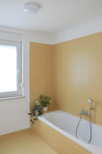 托爾明的住宿－STUDIO GREENHOUSE，带浴缸和窗户的浴室
