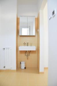 a bathroom with a sink and a toilet at STUDIO GREENHOUSE in Tolmin