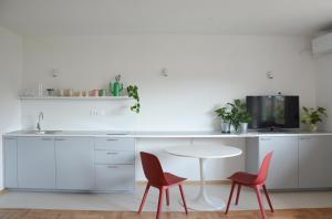 a kitchen with a table and two red chairs at STUDIO GREENHOUSE in Tolmin