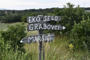 Příroda nedaleko apartmánu