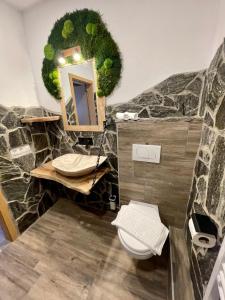 a bathroom with a toilet and a mirror at Mama Mia Apartments in Radovljica