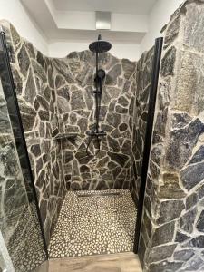 a bathroom with a shower with a stone wall at Mama Mia Apartments in Radovljica