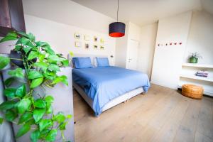 Casa Mina - Dok Noord Ghent في خنت: غرفة نوم بسرير ازرق ومصنع خزاف