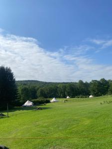 a large green field with tents in the distance at My Friends Place in Oneonta