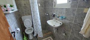 y baño con aseo y lavamanos. en Apartment Pavle en Malovići