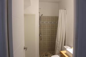 uma casa de banho com um chuveiro e um WC. em Régent 4e étage em Papeete