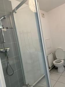La salle de bains est pourvue d'une douche et de toilettes. dans l'établissement Grand Studio de 37m carrés - Parking - RER Laplace et Maison des Examens à 5 minutes à pied, à Arcueil