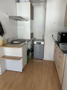 eine kleine Küche mit Spüle und Kühlschrank in der Unterkunft Grand Studio de 37m carrés - Parking - RER Laplace et Maison des Examens à 5 minutes à pied in Arcueil