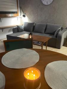 Posezení v ubytování Apartamenty Stronie Śląskie + 22 fotografií