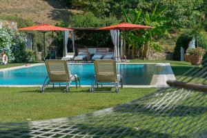 2 Stühle und Sonnenschirme neben einem Pool in der Unterkunft Luxury Pool Villa Oliveto in Ciciana
