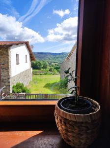 a potted plant sitting in a window with a view at Recanto da Encosta - T2 in Bragança