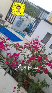 Qarār的住宿－شاليهات ليله الدرب，一座建筑物前有粉红色花的植物