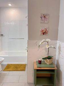 a bathroom with a toilet and a table with a plant at 307 Kyoto style 1BDR Apt in center city in Philadelphia