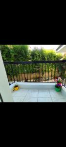 Gallery image of Antonia's cozy apartment in Agia Triada