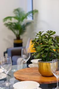 a table with wine glasses and a potted plant on it at 3 bedroom 2 bath Central City in Christchurch