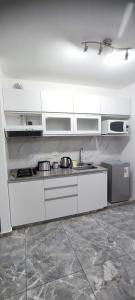 Kuchyňa alebo kuchynka v ubytovaní ESPACIO UNO