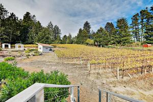 Gallery image of Vinyard Cottage in Sebastopol