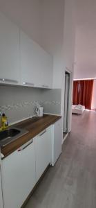 A cozinha ou cozinha compacta de Apartmani Vila Milaris