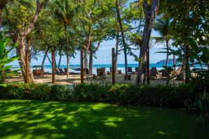 un parc avec des palmiers et l'océan en arrière-plan dans l'établissement The Coast Beachfront Hotel, à Tamarindo