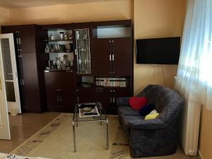 a living room with a chair and a tv at Dózsa apartman in Hajdúszoboszló