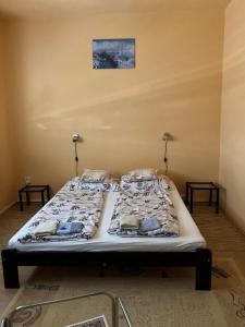 1 cama en una habitación con 2 camas individuales en Dózsa apartman, en Hajdúszoboszló