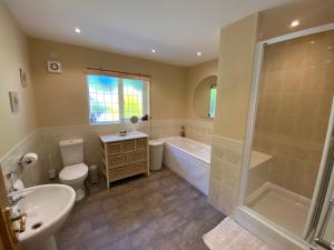 a bathroom with a tub shower and a toilet and a sink at Bedw Arian Cottage in Benllech