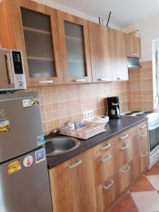 a kitchen with a sink and a refrigerator at Anna Vendégház in Balatonőszöd