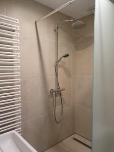 a shower with a shower head in a bathroom at Pauline in Loxstedt