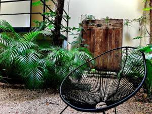 un banc noir installé dans un jardin orné de plantes dans l'établissement Unaluna by Rotamundos, à Tulum