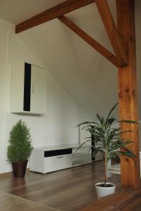 uma sala de estar com um vaso de plantas no chão em Apartmán U Borovice em Bílá Třemešná