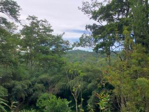 vistas a un bosque lleno de árboles en Casa El Bonito Descanso, en San Vito