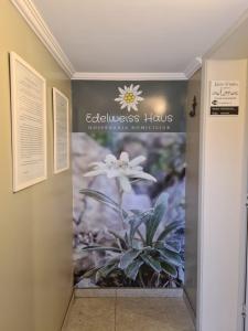 FelizEdelweiss Haus的相册照片